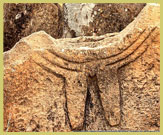 Detail of some of the engraved symbols on one of the stone stelae at Tiya world heritage site, Ethiopia